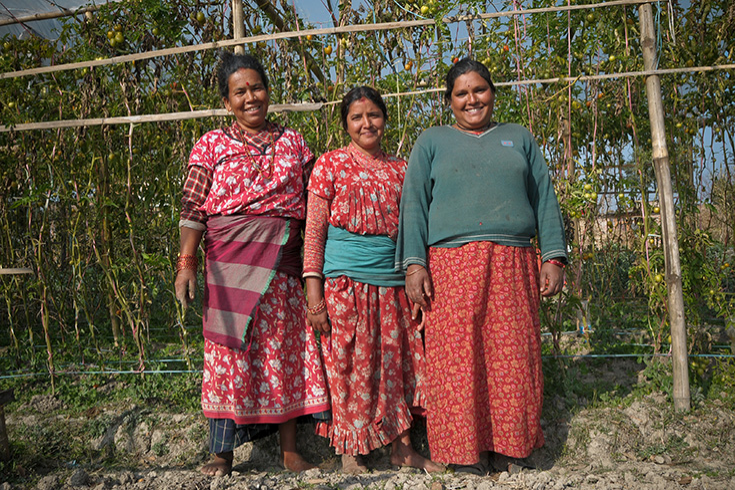 Nepal Agriculture